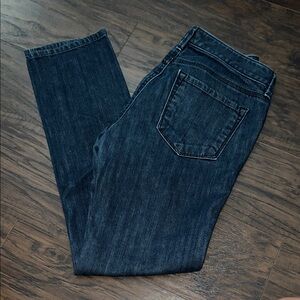 Ann Taylor Dark Blue Skinny Pants